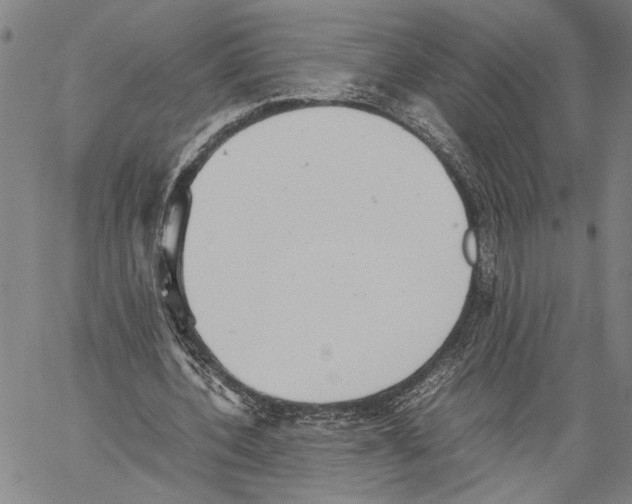 X0000060550532200512011619