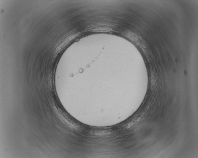 X0000060550533200512011619