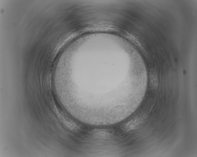 X0000060550534200512011619