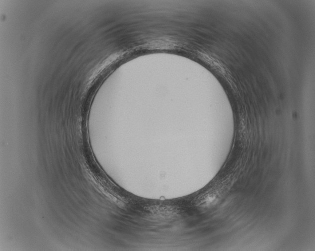 X0000060550535200512011619