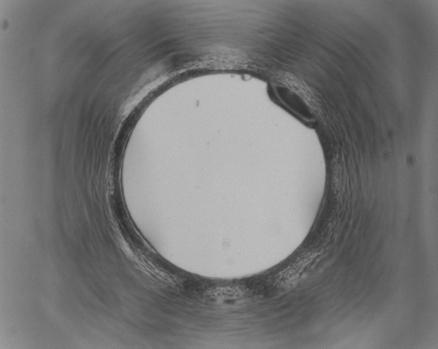 X0000060550536200512011619