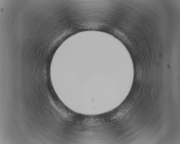 X0000060550538200512011619