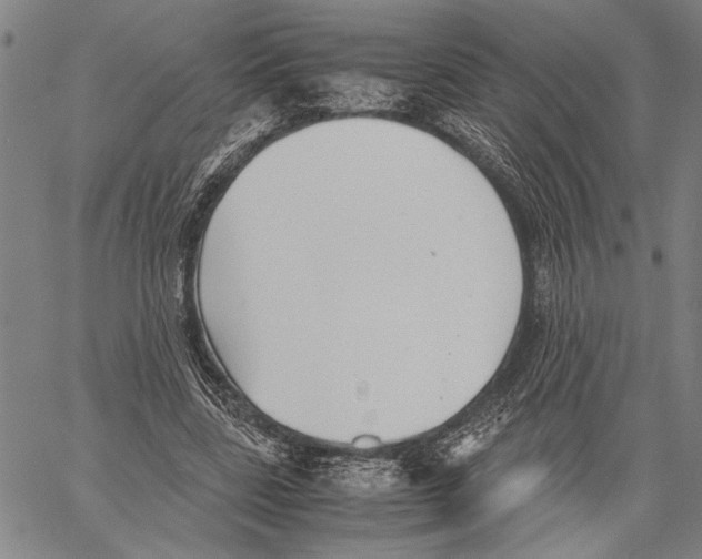 X0000060550539200512011619