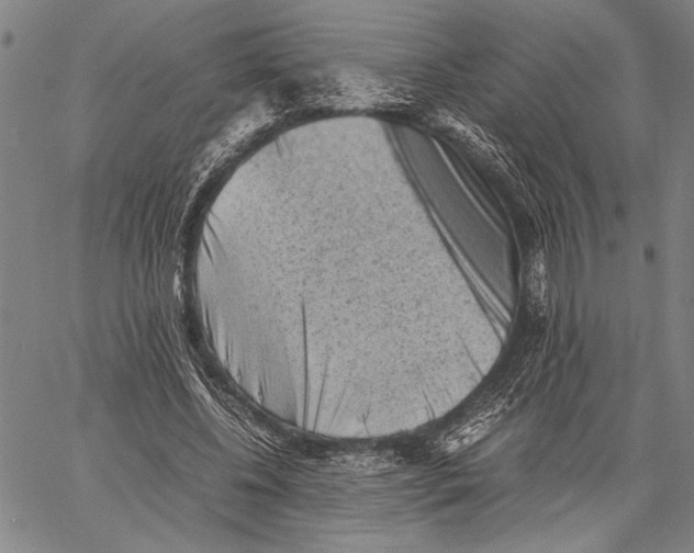 X0000060550540200512011619