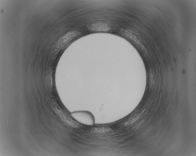 X0000060550541200512011619