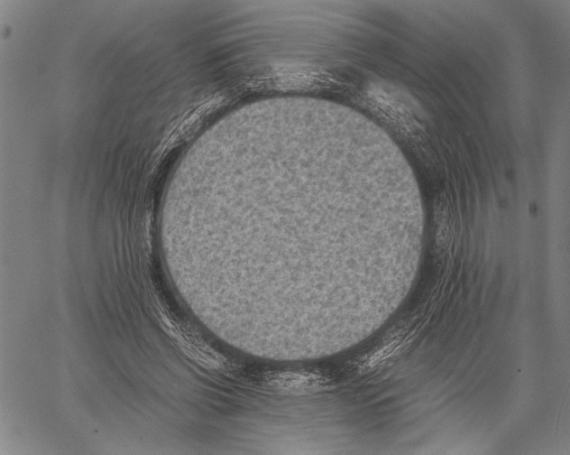 X0000060550542200512011619