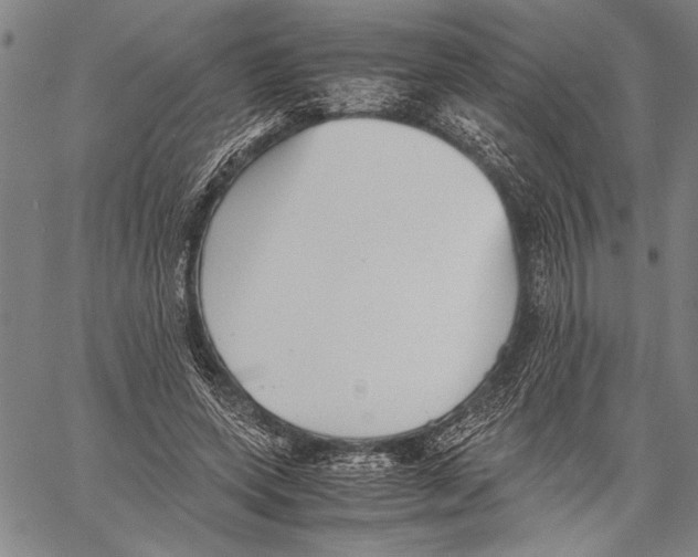 X0000060550543200512011619