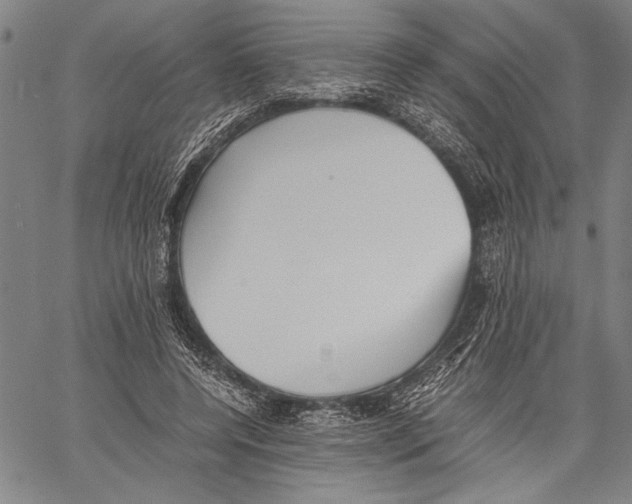 X0000060550544200512011619