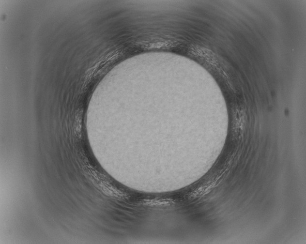 X0000060550545200512011619