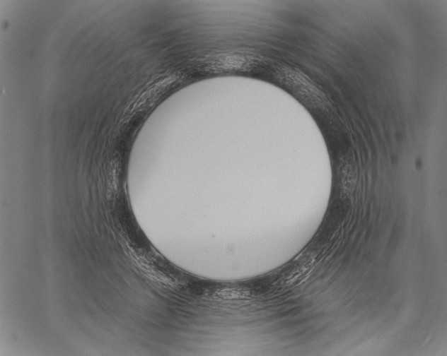 X0000060550546200512011619