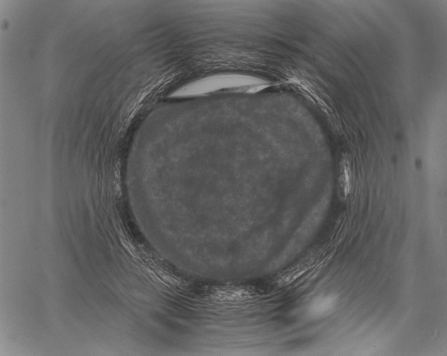 X0000060550547200512011619