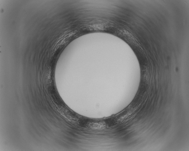 X0000060550548200512011619