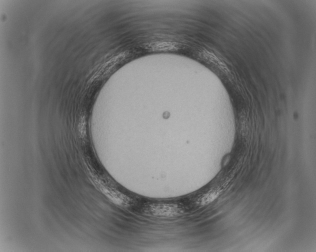 X0000060550549200512011619