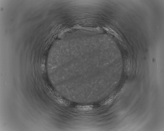 X0000060550553200512011619