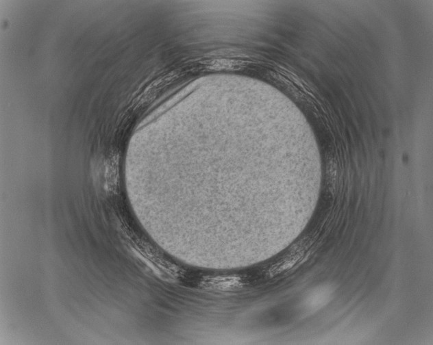 X0000060550554200512011619