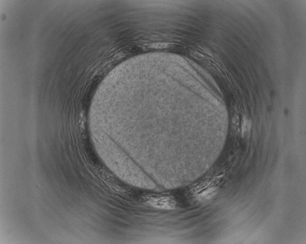 X0000060550555200512011619