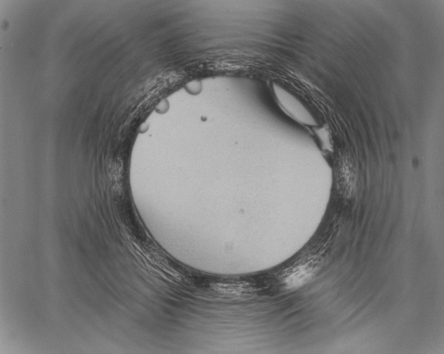 X0000060550556200512011619