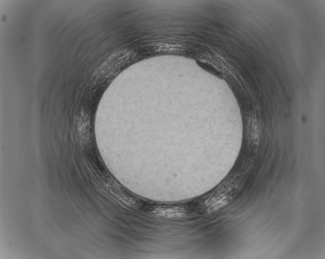 X0000060550557200512011619