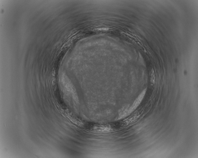 X0000060550559200512011619