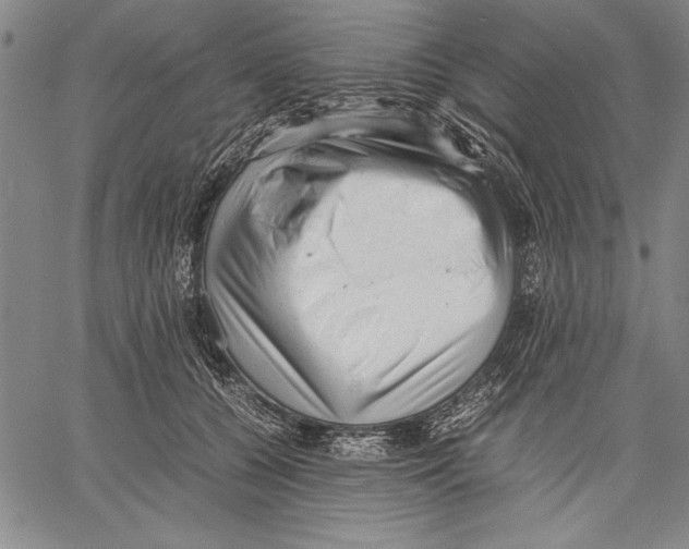 X0000060550560200512011619