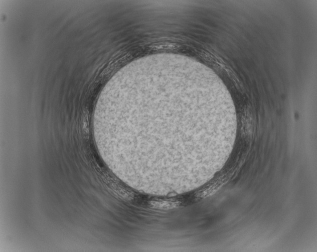 X0000060550561200512011619