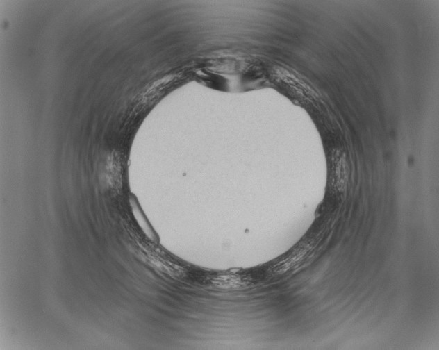 X0000060550562200512011619