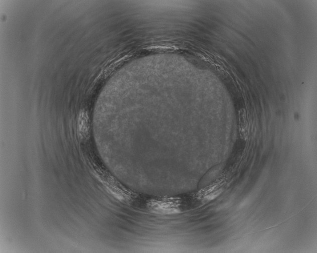 X0000060550563200512011619