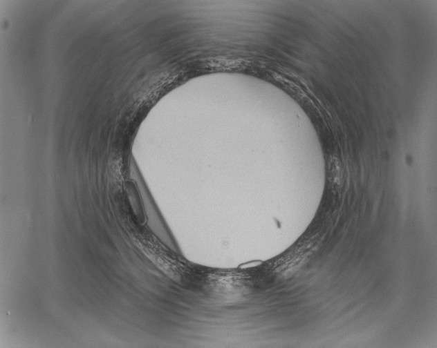 X0000060550564200512011619