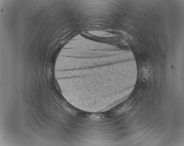 X0000060550566200512011619