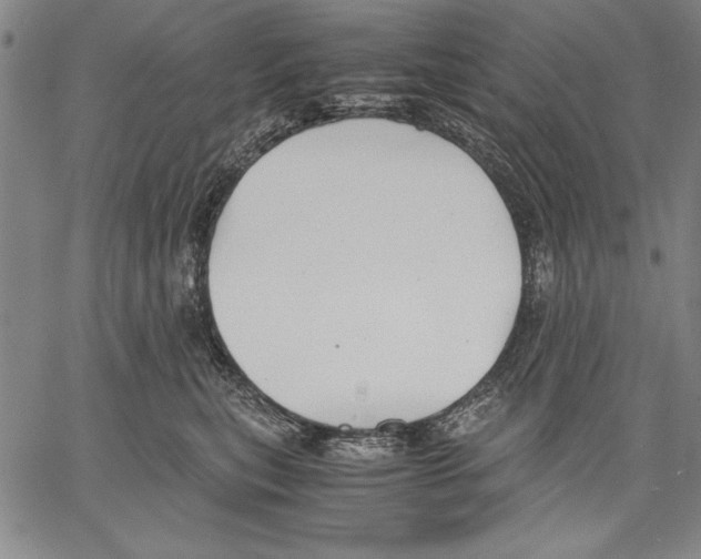 X0000060550567200512011619