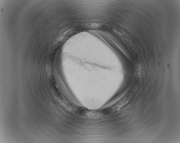 X0000060550568200512011619