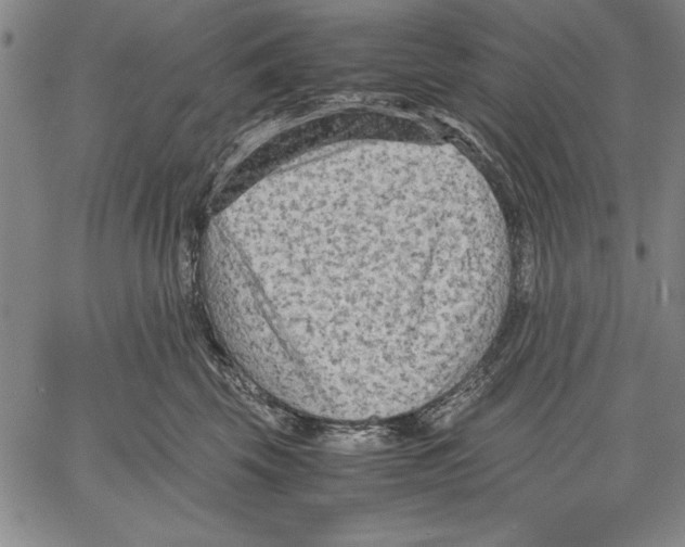 X0000060550569200512011619