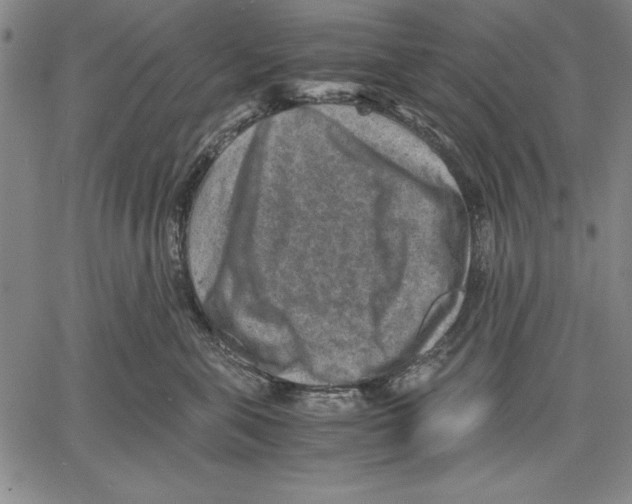 X0000060550571200512011619