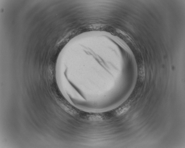 X0000060550572200512011619