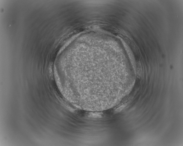 X0000060550573200512011619