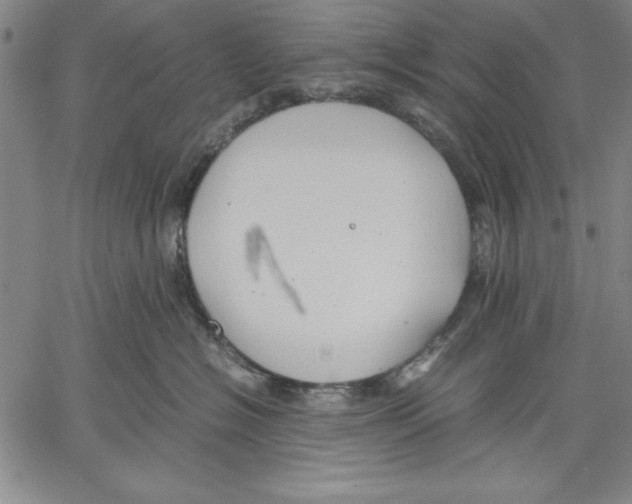 X0000060550574200512011619