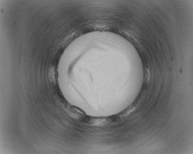 X0000060550575200512011619