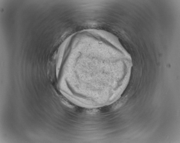 X0000060550576200512011619