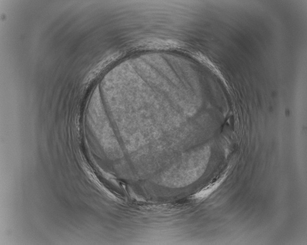 X0000060550581200512011618