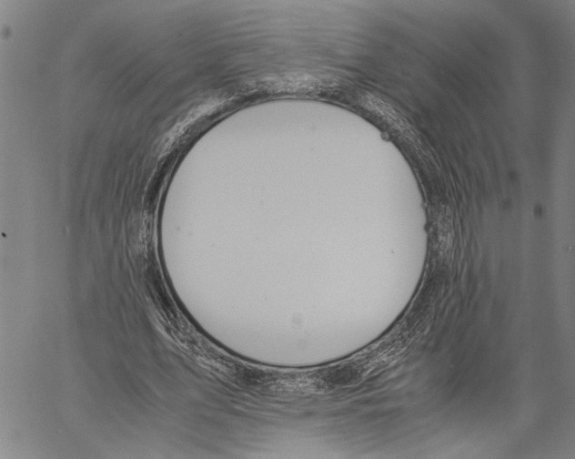 X0000060550583200512011618