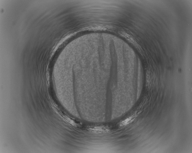 X0000060550584200512011618