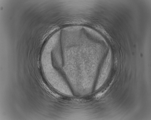 X0000060550585200512011618