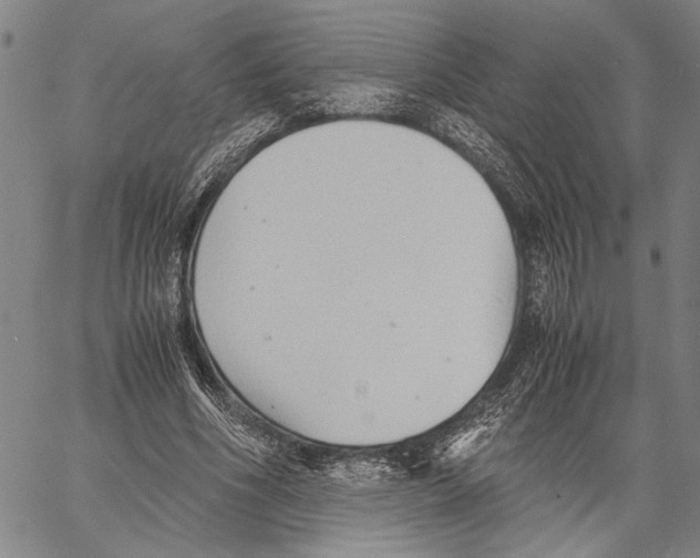 X0000060550586200512011618