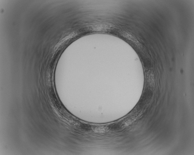 X0000060550587200512011618