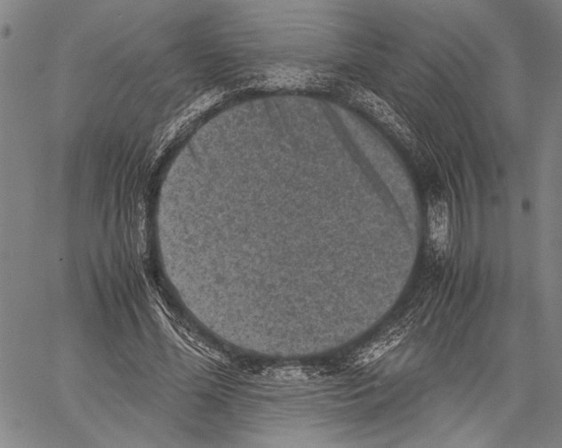 X0000060550588200512011618