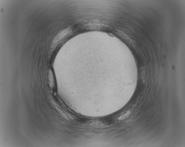 X0000060550589200512011618