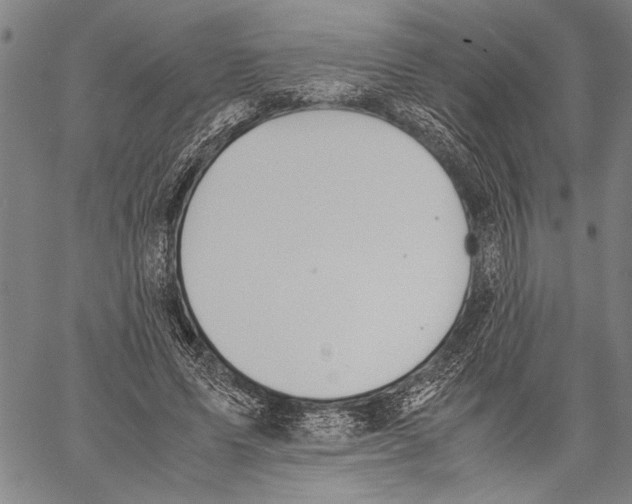 X0000060550591200512011618