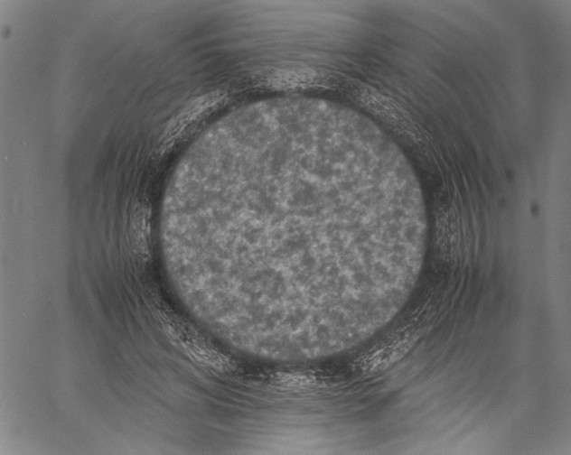 X0000060550592200512011618