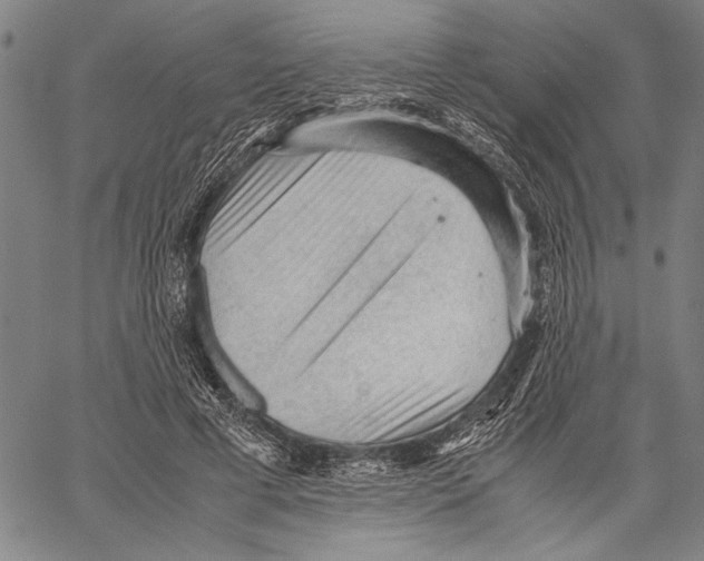 X0000060550593200512011618