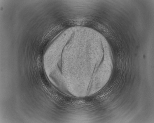 X0000060550594200512011618